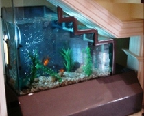 acuario escalon